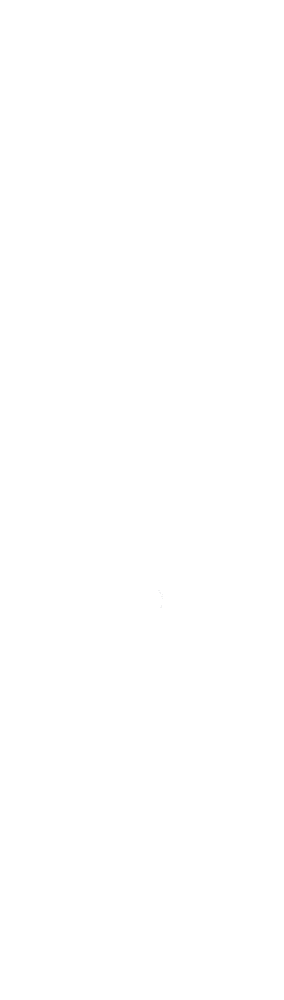 3bee white