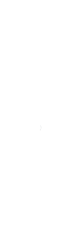 7slim white
